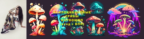 шишки Алексеевка
