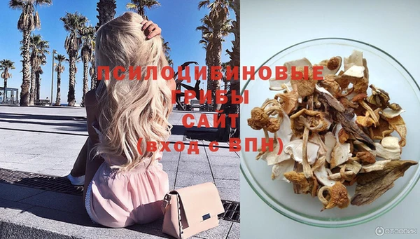 шишки Алексеевка