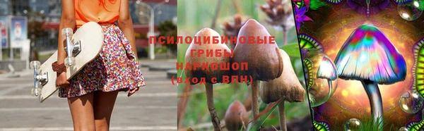 Альфа ПВП Алзамай