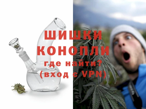 индика Россошь