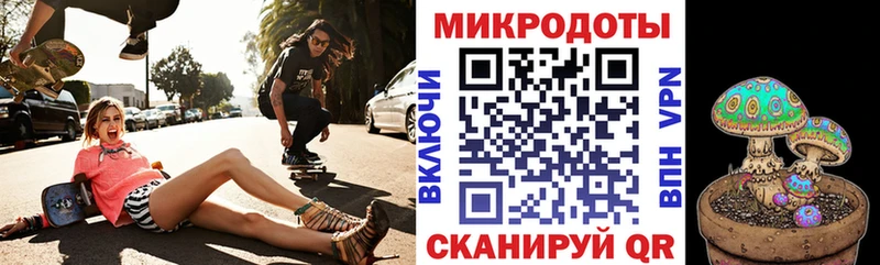 Псилоцибиновые грибы Psilocybine cubensis  Ковылкино 